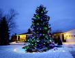 zylstra-christmas-lights-12