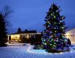zylstra-christmas-lights-13