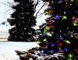 zylstra-christmas-lights-p3