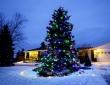 zylstra-christmas-lights-12