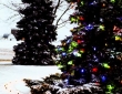 zylstra-christmas-lights-p3