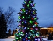 zylstra-christmas-lights-p5