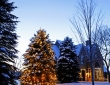 zylstra-christmas-lights-p6