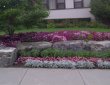 annual-garden-planting-by-zylstra