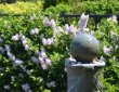 garden-maintenance