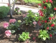 Front Entrance Colour by Zylstra Landscaping