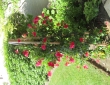 Front Entrance Gardens by Zylstra Landscaping