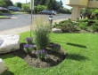 Veronica Blooms planted by Zylstra Landscaping
