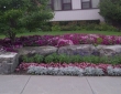 annual-garden-planting-by-zylstra