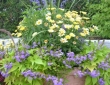 annual-planting-in-clay-pot-by-zylstra