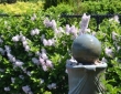 garden-maintenance